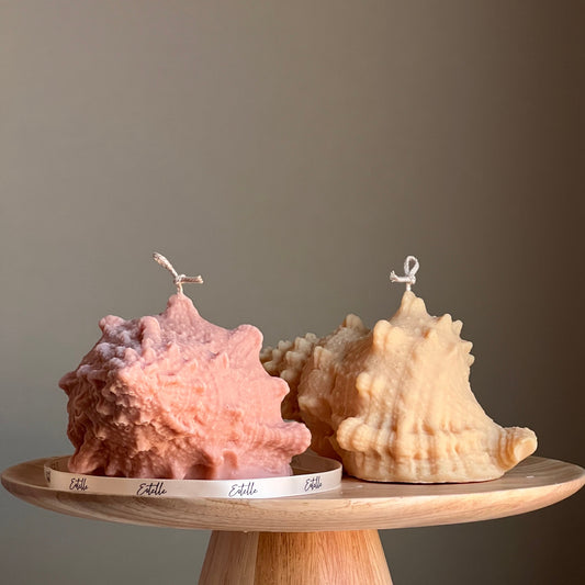 Huge Sea Shell Candle