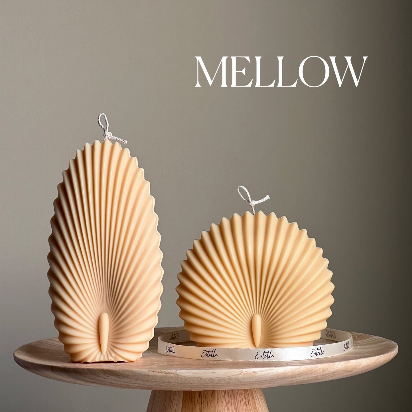 Sea Shell Candle Duo