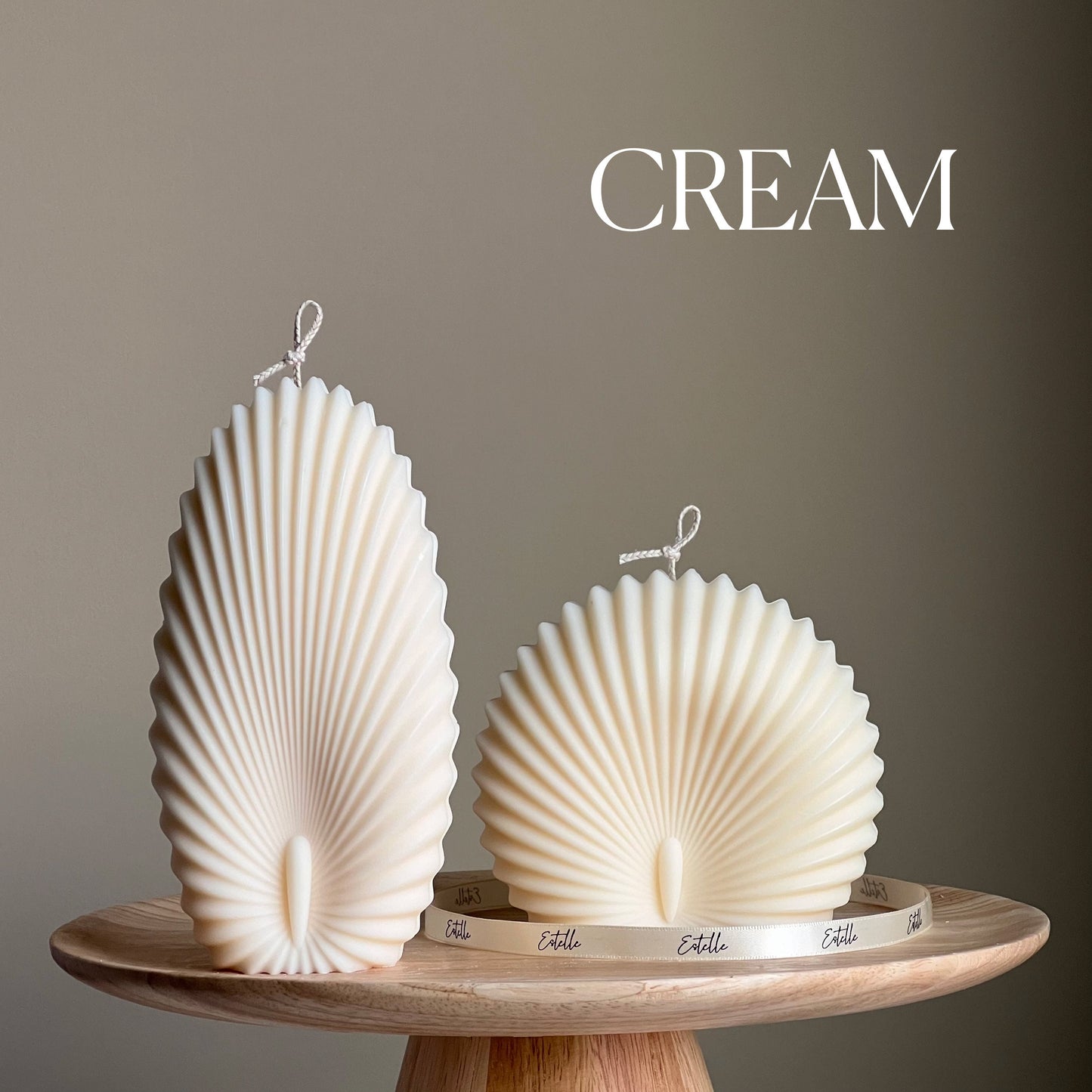 Sea Shell Candle Duo