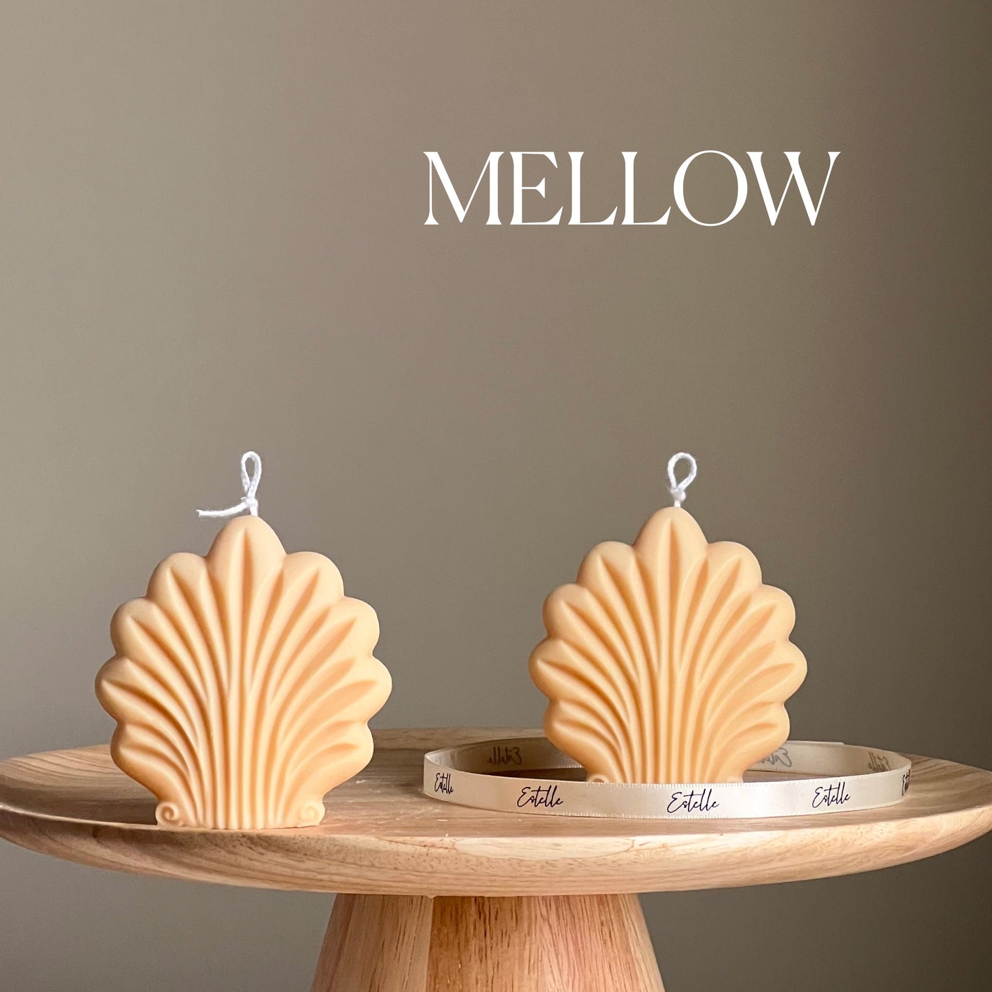 Shell Candle