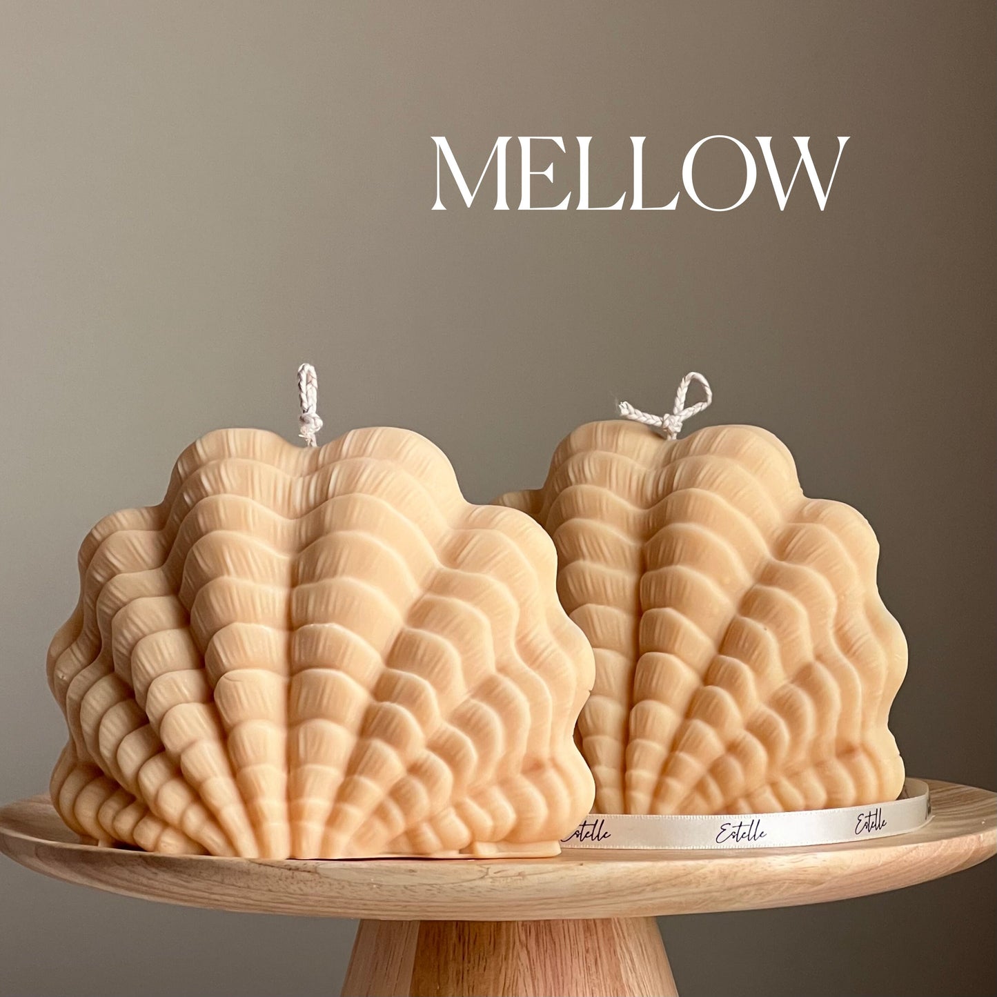 Huge Shell Candle