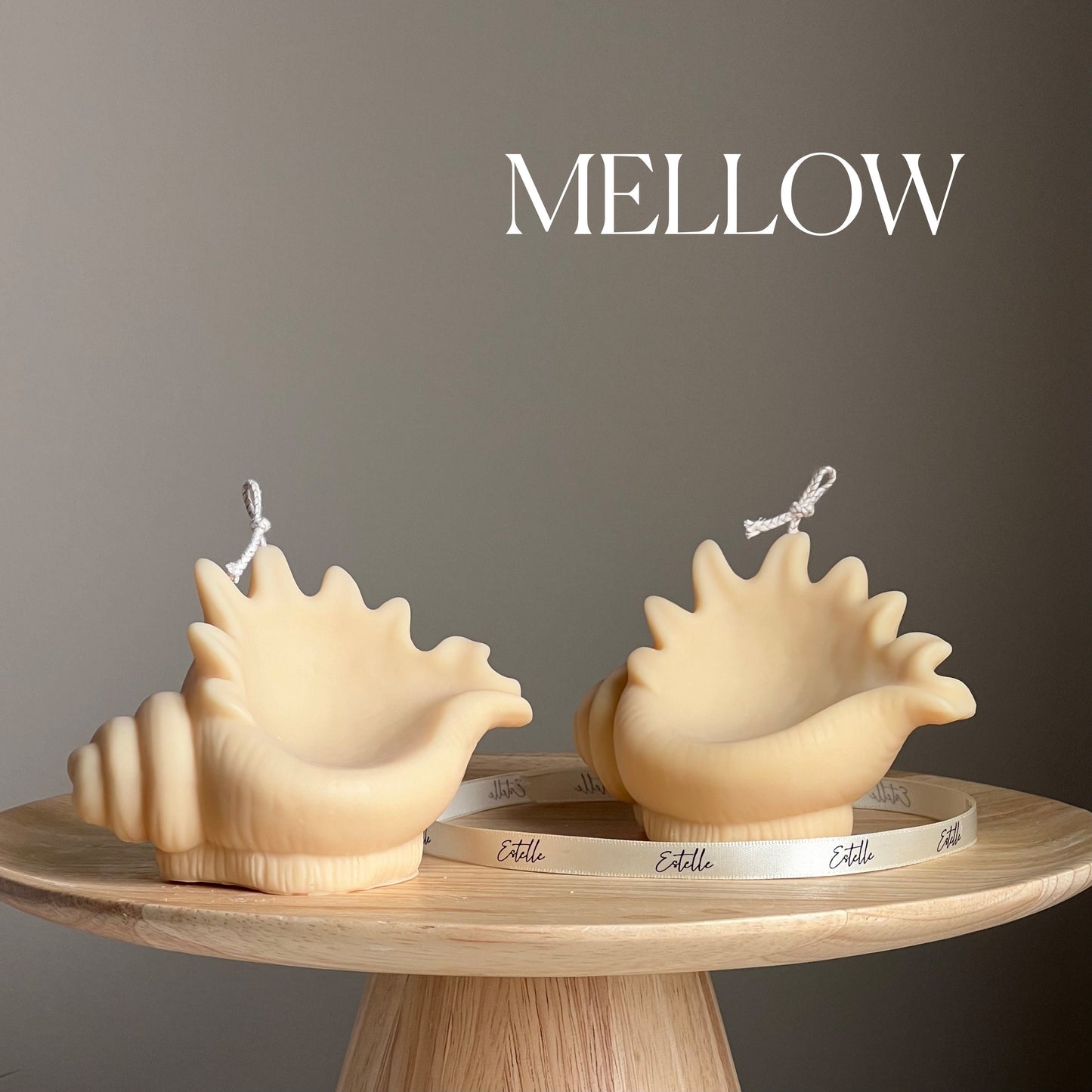 Sea Shell Candle