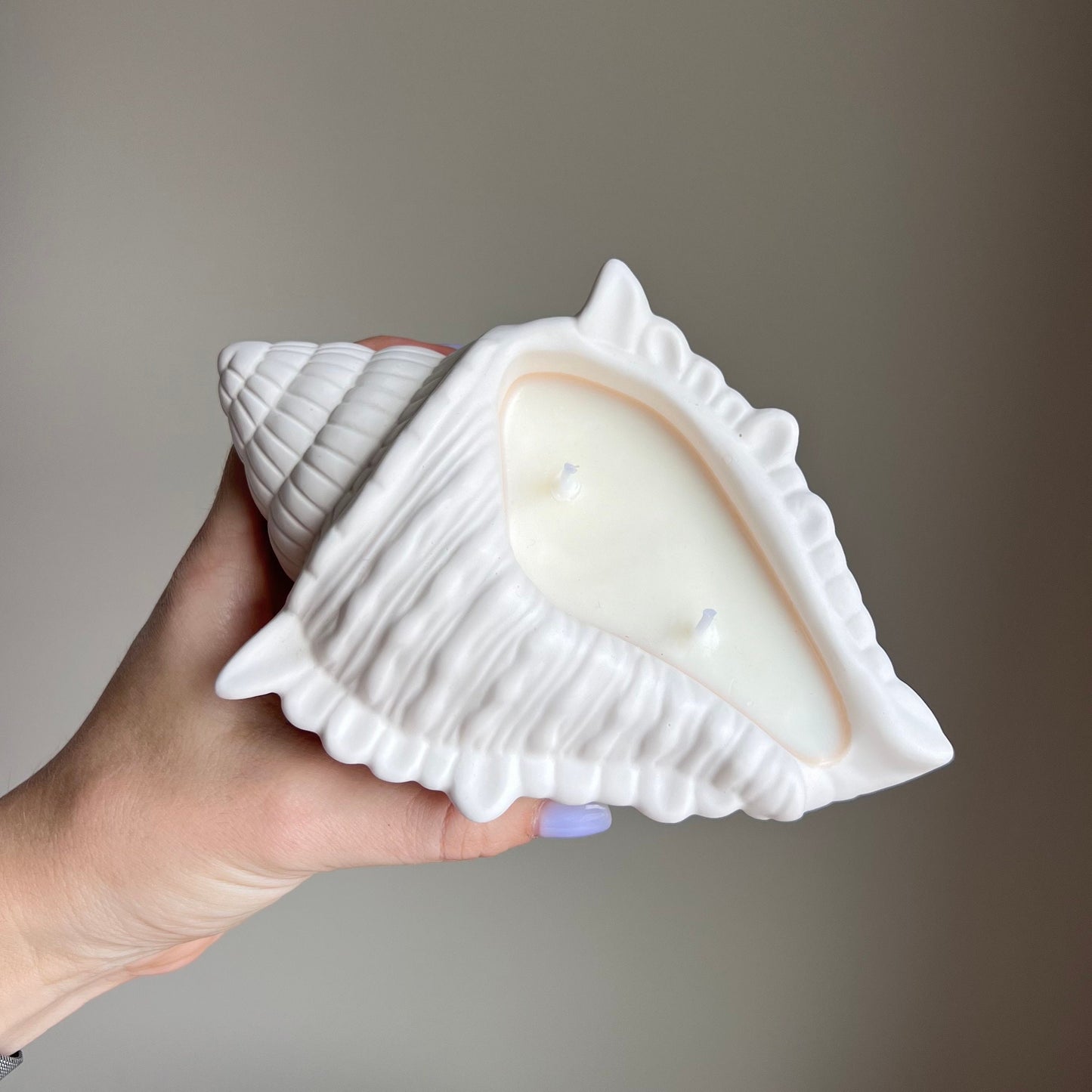 Conch Shell Container Soy Wax Candle
