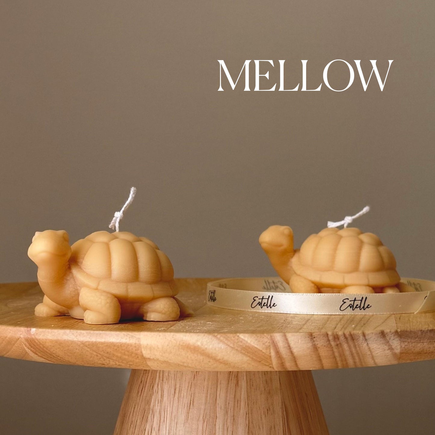 Cute Turtle Candle