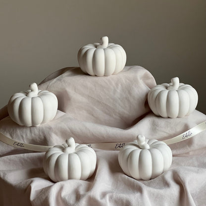 Cute Autumn Pumpkin Stone Decor