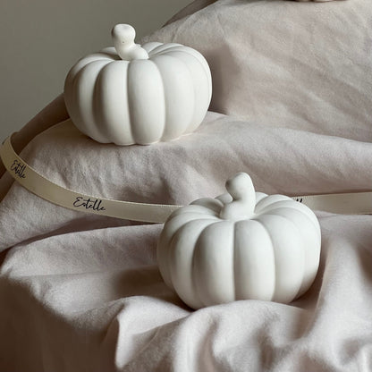 Cute Autumn Pumpkin Stone Decor