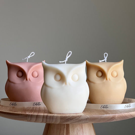 Owl Candle | Sculptural Pillar Candle | House Warming Gift | Custom Color Scent | Aesthetic Autumn Home Decoration | Vegan Soy Wax Candle |