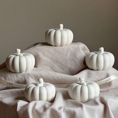 Cute Autumn Pumpkin Stone Decor