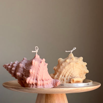 Huge Sea Shell Candle