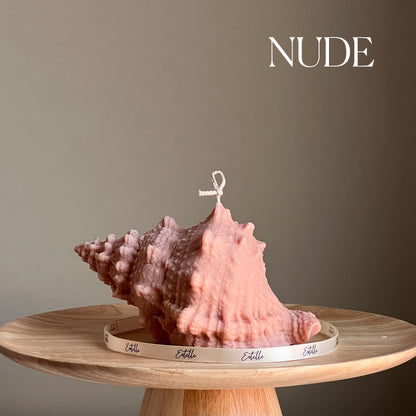 Huge Sea Shell Candle