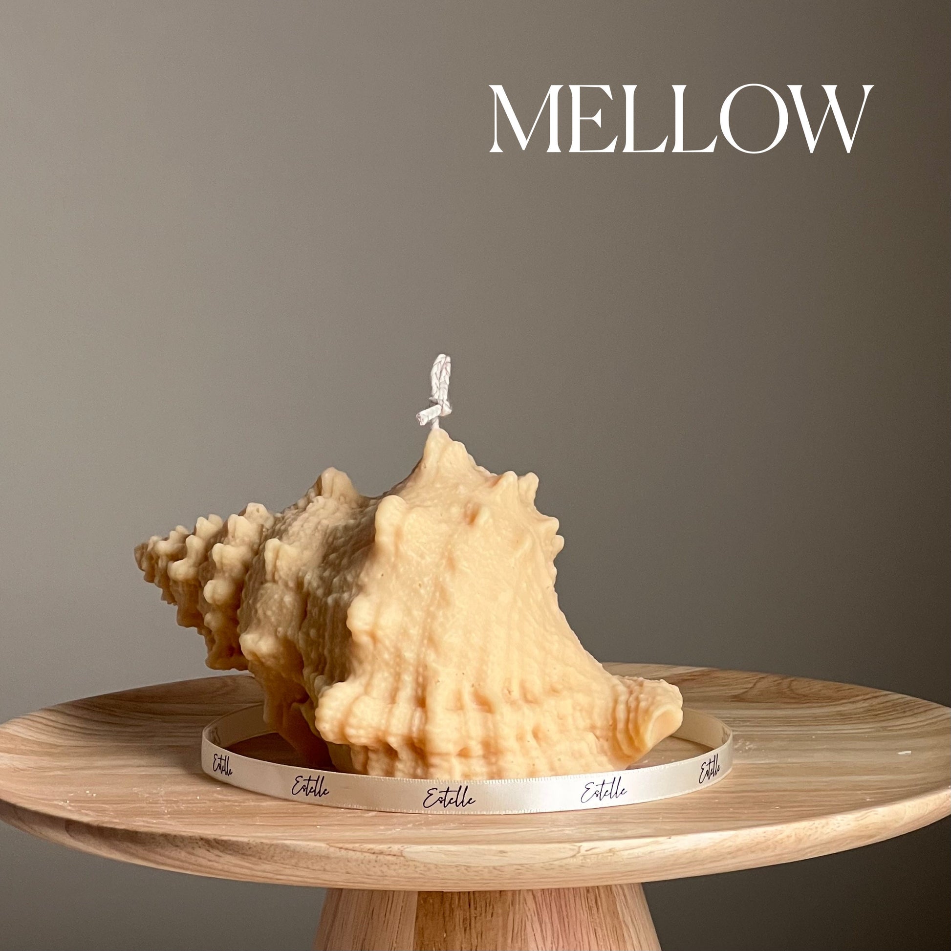 Huge Sea Shell Candle