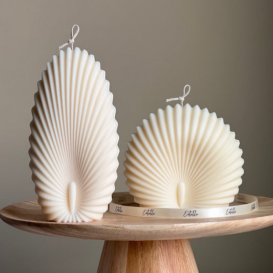 Sea Shell Candle Duo