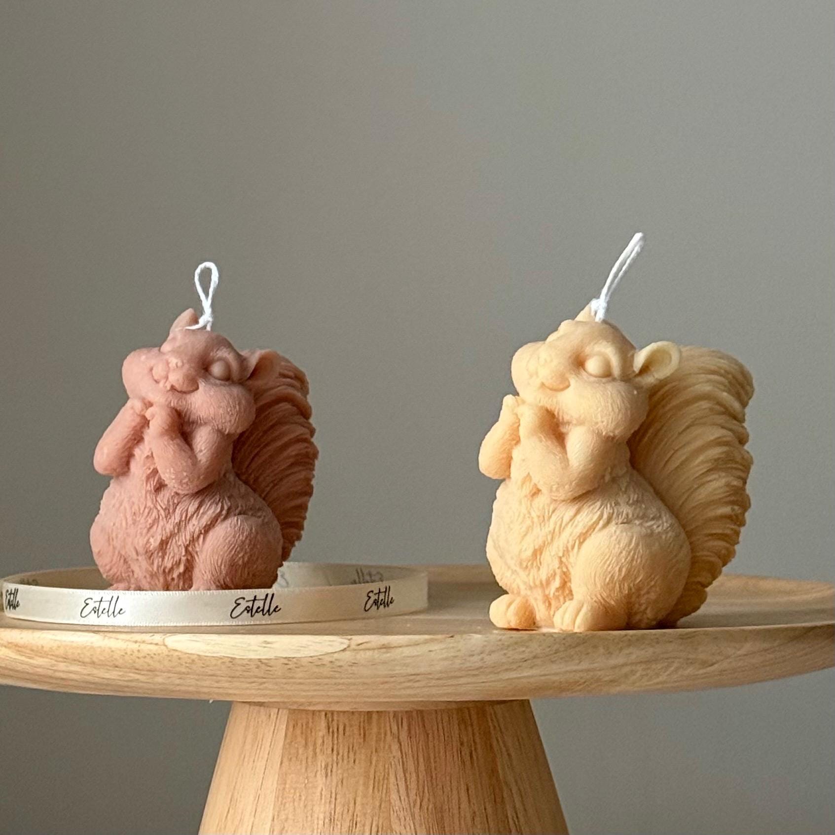 Cute Squirrel Candle