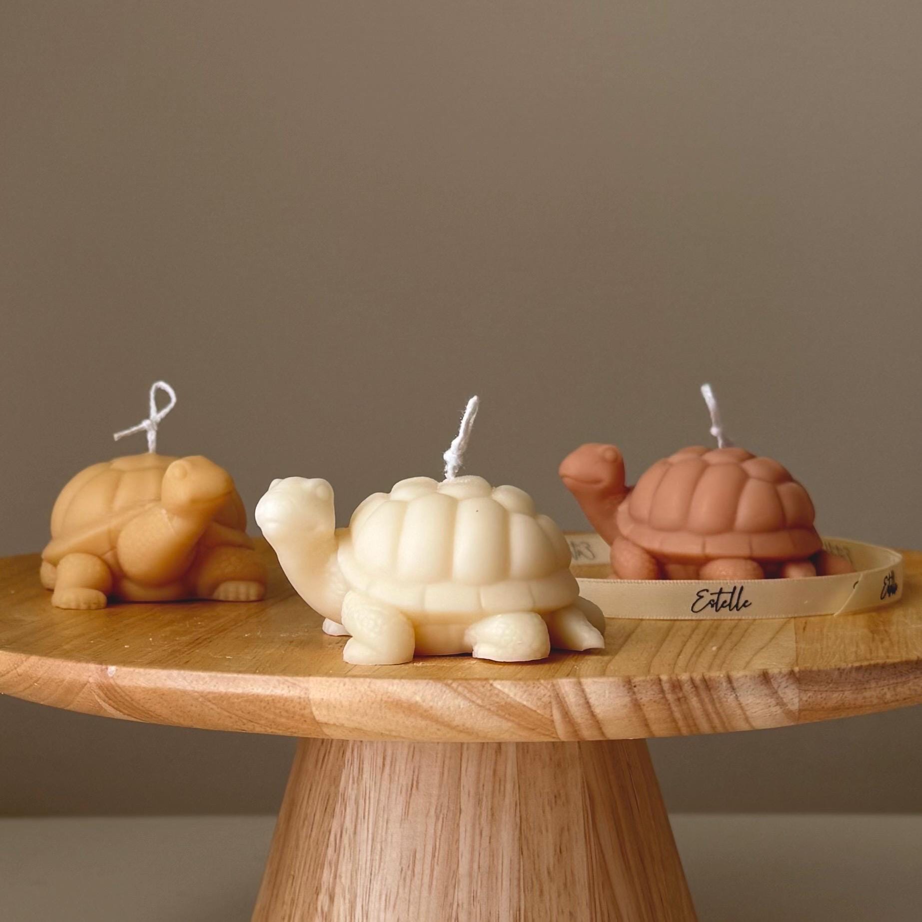 Cute Turtle Candle