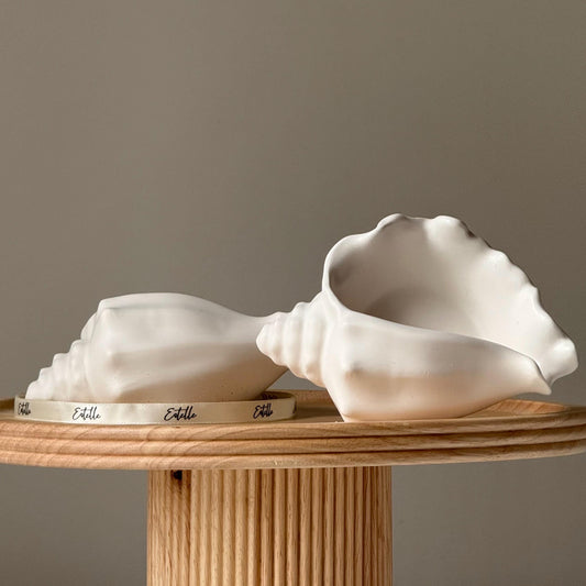 Conch Shell Trinket Tray | Jewelry Storage Dish | Desk Accessories | Jesmonite Homeware | Gift Idea | Jesmonite Home Decor | Gift For Her