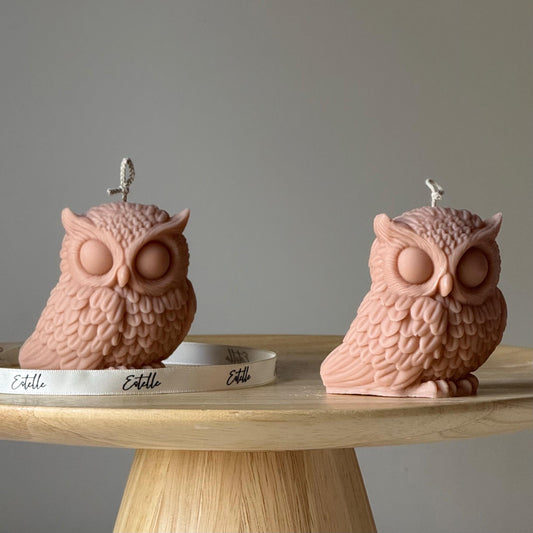 Owl Soy Candle: Handmade Sculptural Home Decor